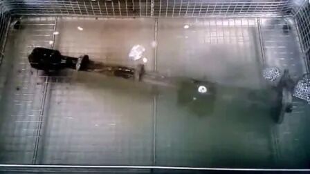 Temporizador Digital do Aquecedor Aço Inoxidável Industrial Peças Automotivas Limpador Ultrassônico Jp-480st